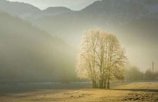 Fotogalerie přírodní krajiny