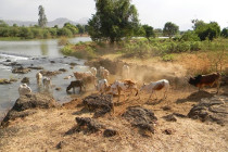 Obrázek pro článek Etiopii sužují sesuvy půdy