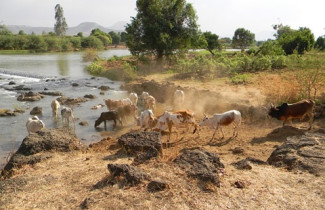 Etiopii sužují sesuvy půdy