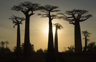 Madagaskar ztrojnásobí energetickou kapacitu